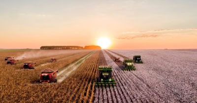 Agricoltura 4.0 e Tecnologia RFID