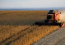 Agricoltura Smart e IoT